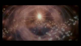 Sun Airway - Wild Palms