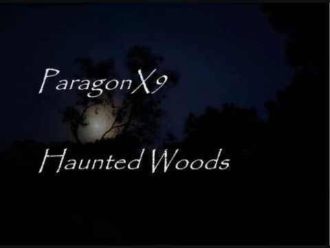 ParagonX9 - Haunted Woods
