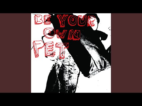 Fuuuuuun - Be Your Own Pet