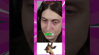 ?clipes shorts FELCA | ?felquinhas cortes | #cortes #clipes #viral #felquinhas #status