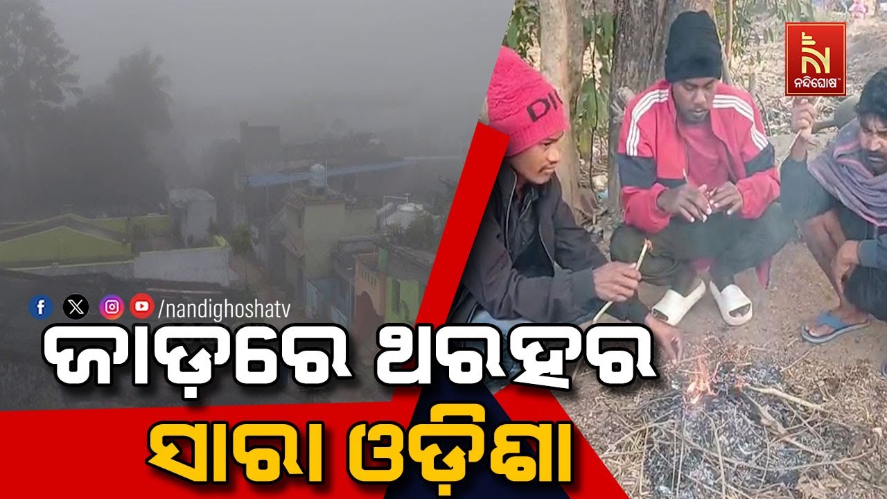 ସାରା ରାଜ୍ୟରେ ଜାରି ରହିଛି ପ୍ରବଳ ଶୀତ। ବାଘୁଆ ଜାଡ଼ରେ ଥରହର