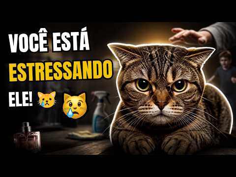 9 HÁBITOS Que ESTRESSAM Seu Gato e Você Faz Sem PERCEBER!