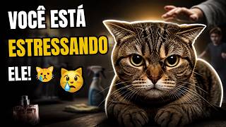 9 HÁBITOS Que ESTRESSAM Seu Gato e Você Faz Sem PERCEBER!