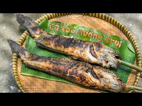 Cá lóc nướng trui