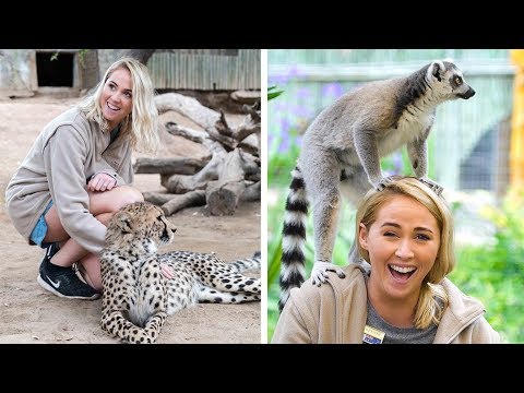 GoEco South Africa - African Wildlife Ranch