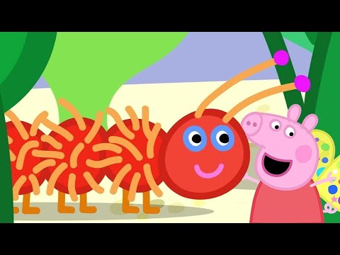 Peppa Learns About Nature! 🐷🐛 | @PeppaPigOfficial