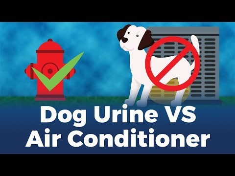 YouTube video about: Can dog urine ruin an ac unit?