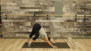 December 13, 2020 - Diana Harpwood - Vinyasa Flow