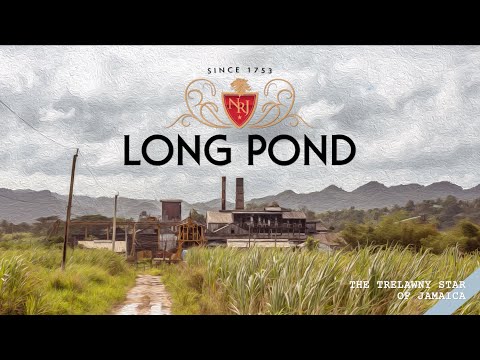 MAISON FERRAND video