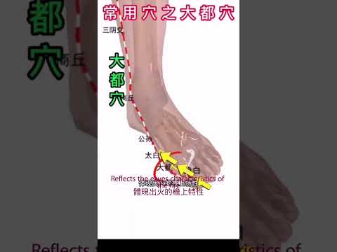 大都穴