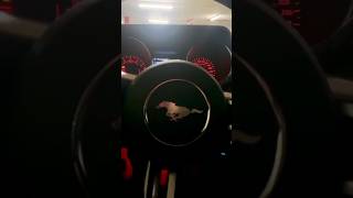 Download lagu Main Tera Aan Blood Goriye….♥️ Backbone-Harrdy Sandhu | B Praak | Zenith Sidhu#trending#short#fyp mp3