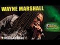 Wayne Marshall - Overcome / No Letting Go / Sufferer @ Rototom Sunsplash 2013 [August 24th]