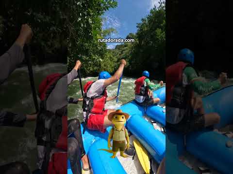 Vive la aventura Norcasia Caldas con Ruta Dorada, descubre el Río La Miel, cascadas y mucho más.