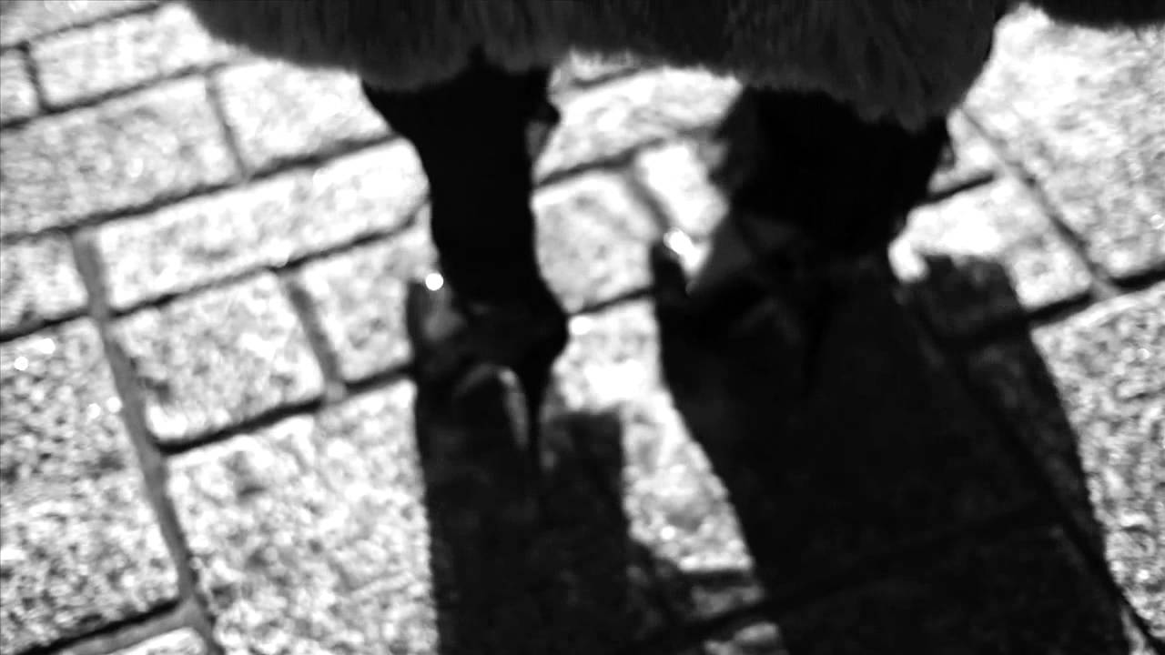 Endless Elegance by Davy Linggar