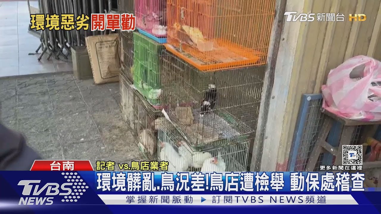 鳥被上腳鍊！鳥店好髒！業者遭檢舉　動保處稽查