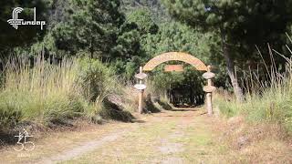 Presentación del Programa Forestal Ambiental