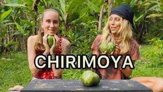 A fun video we made in Ecuador in 2022 (in English)
