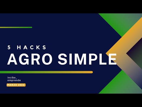 Equipo 5 Hacks | INCIBE Emprende