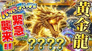 数時間に1回現れる伝説の龍を食いまくった結果！！ww【パクパクフィッシュゴールド】【メダルゲーム】