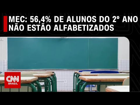 Alfabetização infantil: MEC quer padronizar o que aluno do 2º ano do ensino  fundamental deve saber, Educação