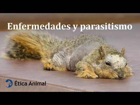 , title : 'Sufrimiento de los animales en la naturaleza: enfermedades y parasitismo'