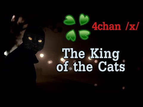 The King of the Cats - 4chan /x/ Greentext