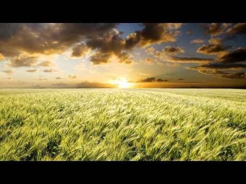 Mark Junior - Natural (Aaron Camz Remix)