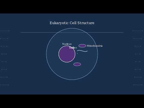 Domain – Definition, Development, Importance, Examples - Video