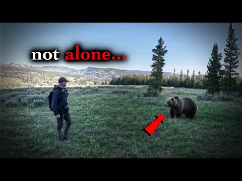 6 Most Disturbing National Park Encounters Caught on Camera