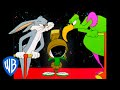 Looney Tunes Bugs Saves The Earth Classic Cartoon WB Kids