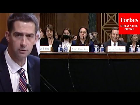 'Is A Convicted Felon Illegally Possessing A Gun A Serious Offense?': Tom Cotton Grills Nominees