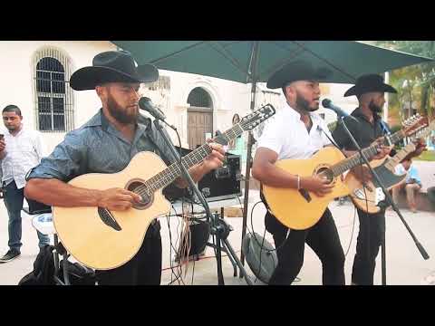 Los Traviezoz de Olancho - Quererte jamás en vivo (2019)