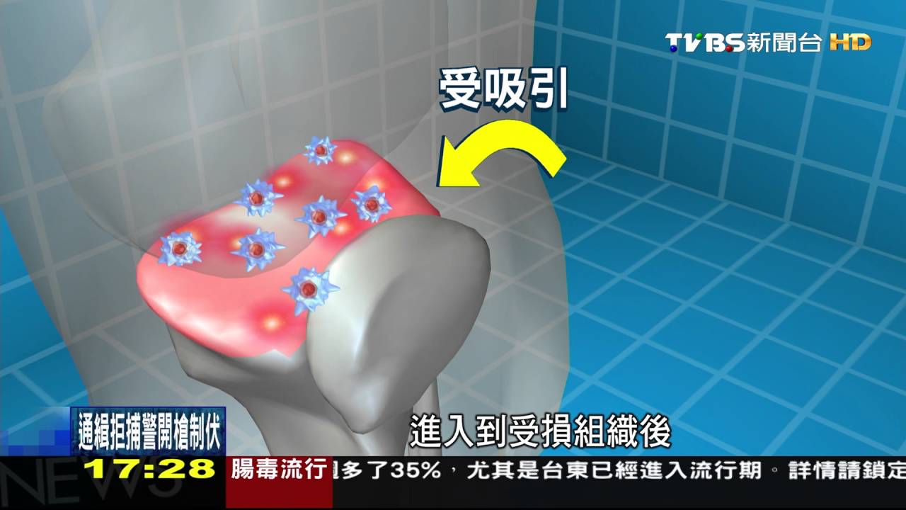 科學不一樣／推進幹細胞療法　無血清培養基增速快