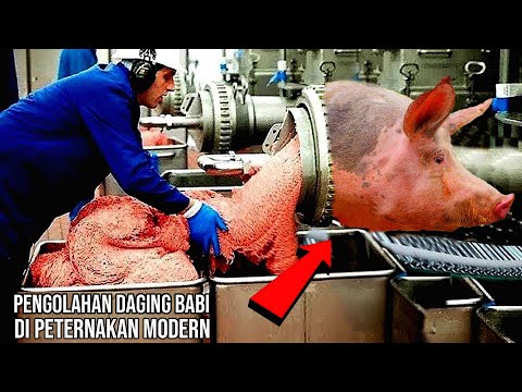 , title : 'Beginilah Proses Pengolahan Daging Babi di Peternakan Modern'