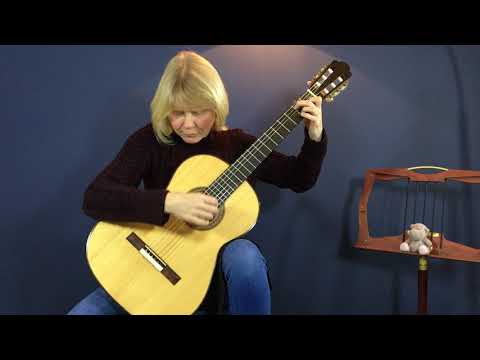 Michael Gee 2008 Torres Guitar