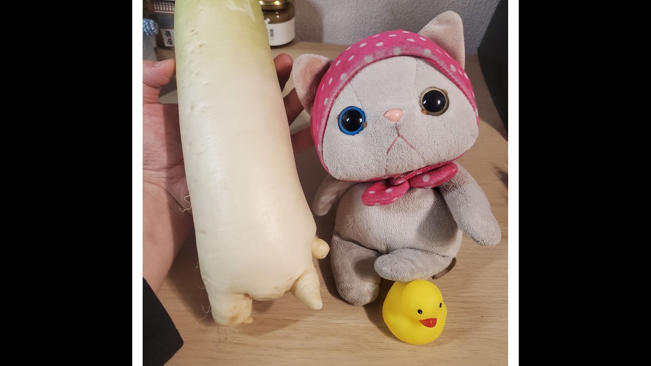 【ぬいぐるみ配信】こいつたちの2月にYouTube出来なかったぶん騒いじゃうライブ【2026/3/1】