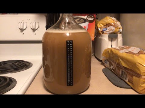How To Make A Simple Easy Cyser (Apple Juice Mead)