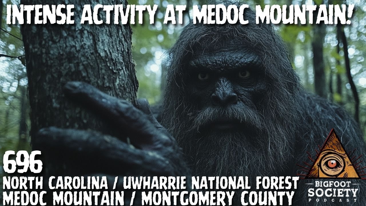 Intense Activity at Medoc Mountain! | North Carolina