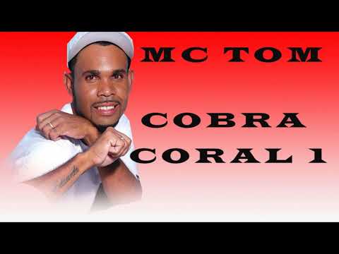 Mc Tom e Jota R cobra coral 1 (Dj Mister Stones)