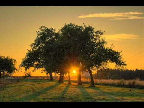 Urmas Alender - Juuspeened Keeled