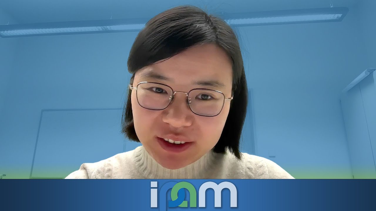 Jing Yang - Molecular dynamics sim for electrochemical systems: challenges of field fluctuation