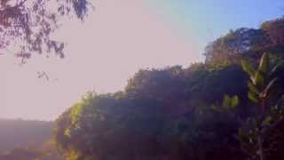 Kath Bloom - This Dream of Life