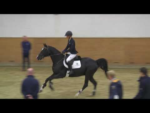 136 Diavantos v. Diarado - Levantos I