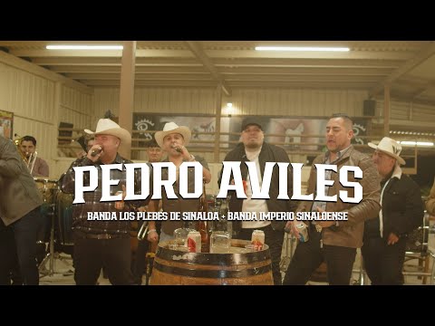 PEDRO AVILES - Banda los Plebes De Sinaloa + Banda Maravillosa + Banda La Consentida -