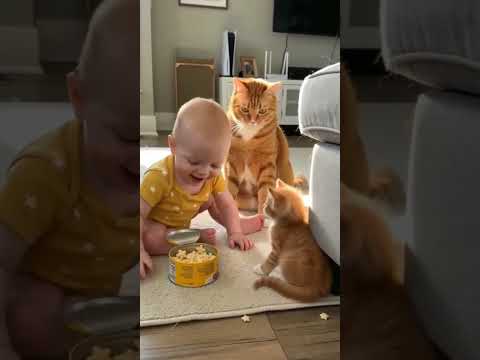 Little Human, Big Cat Friendship #cats #baby #animals