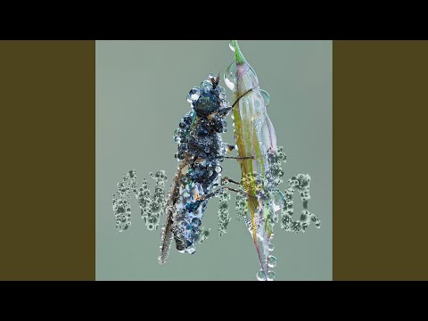 False Nostalgia (Original)