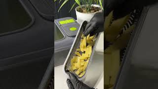 قطاعة خضار المطورة بلوح تقطيع استيل - 12 في 1