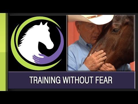 Training Without Fear featuring John Lyons, John Madigan DVM & Jody Ambrose