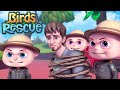 Zool Babies Series - Birds Rescue (New Episode) | Cartoon Animation For Children | Videogyan Shows