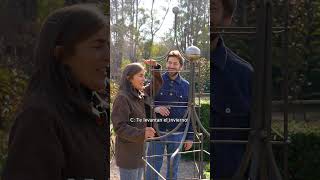 Video de Tutor Alfil